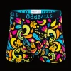 Botanical - Mens Boxer Shorts