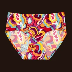 Bustling Bundle - Ladies Seamless Full Briefs 4 Pack Bundle