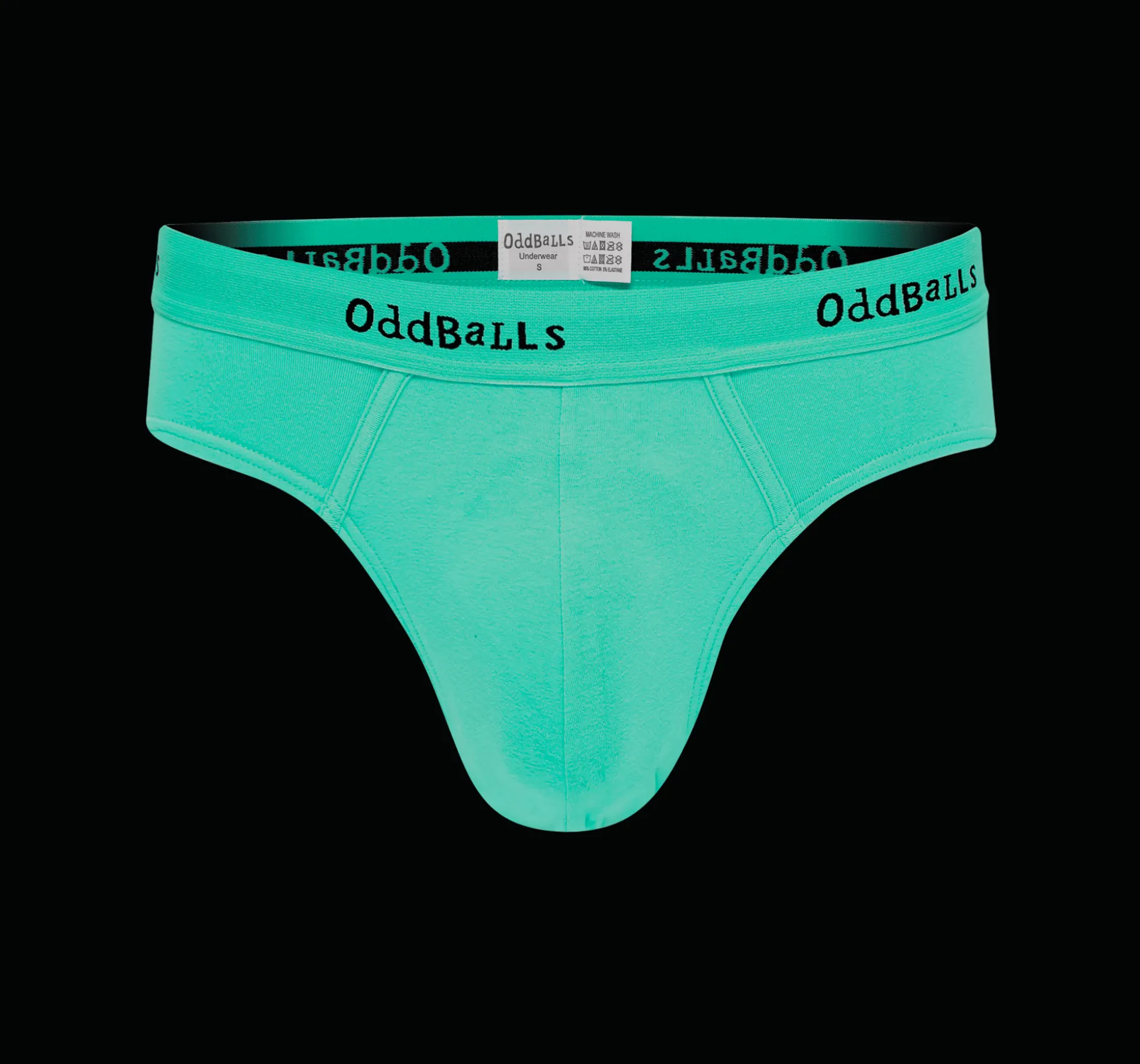 Cactus - Mens Briefs