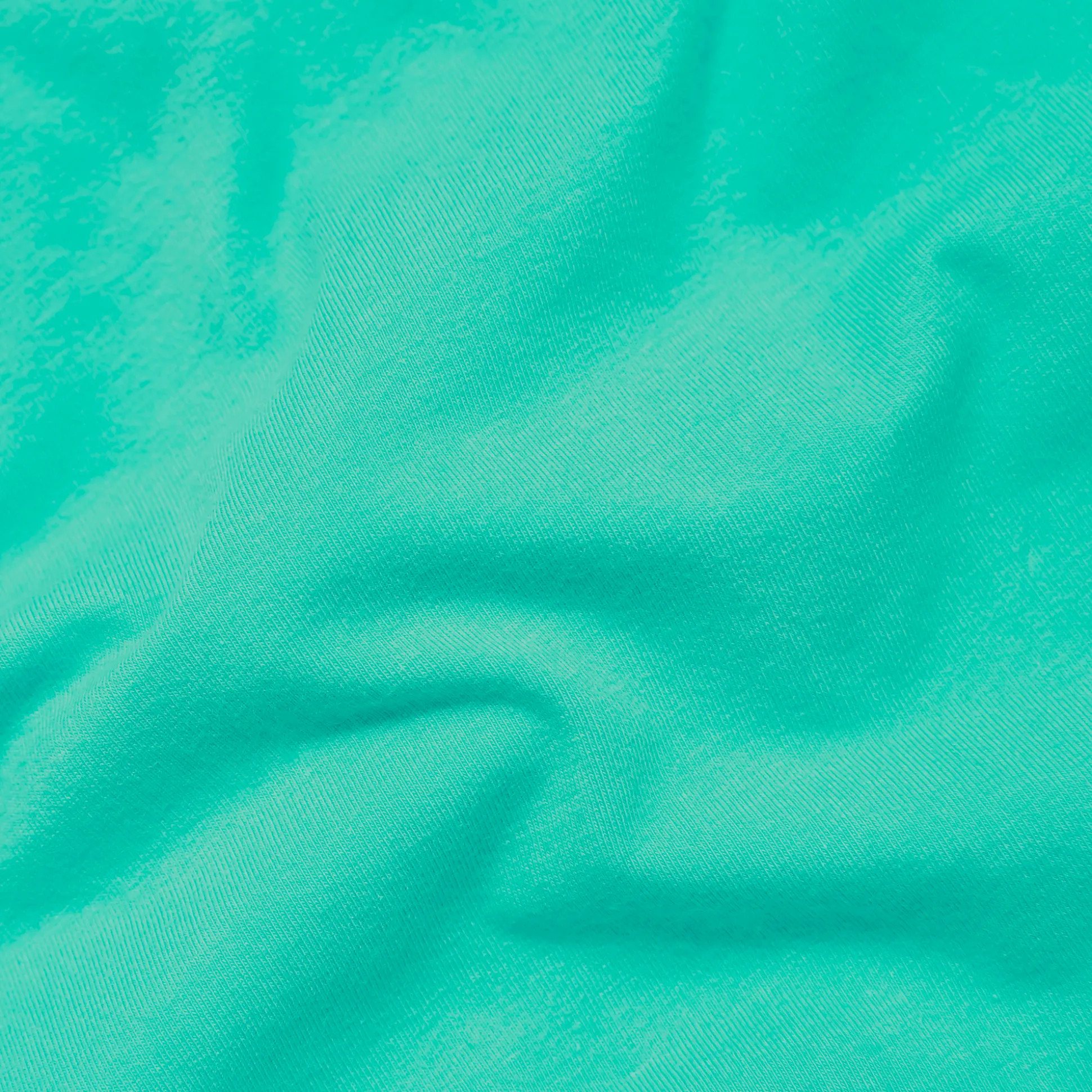 Cactus - Mens Briefs