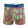 Chameleon - Mens Boxer Shorts