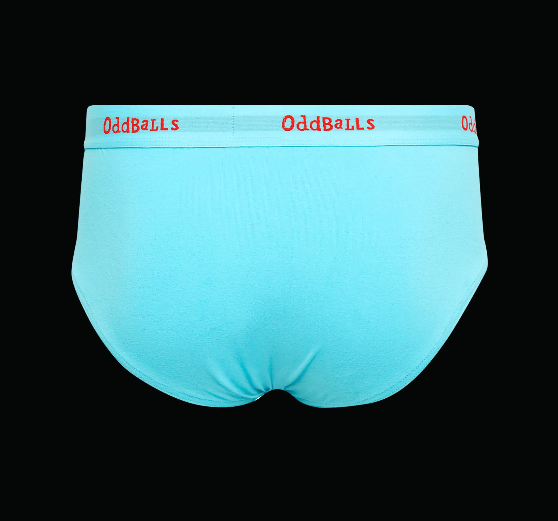 CLASSIC Subscription - MENS BRIEFS & Socks