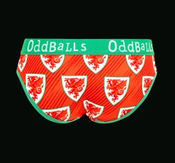 FA Wales - Home - Ladies Briefs