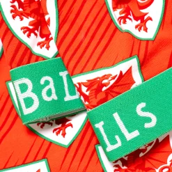 FA Wales - Home - Ladies Bralette