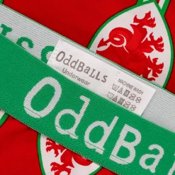 FA Wales Red & Green - Mens Briefs
