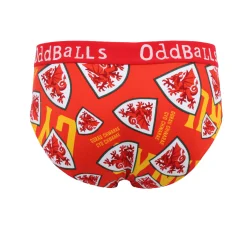 FA Wales Red - Mens Briefs