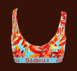 Ladies Bralette & Socks - Monthly Subscription