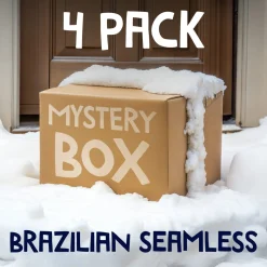 Ladies Seamless Brazilian Briefs Bundle - 4 Pack Mystery Box