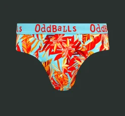 Mens Briefs & Free Socks - Monthly Subscription
