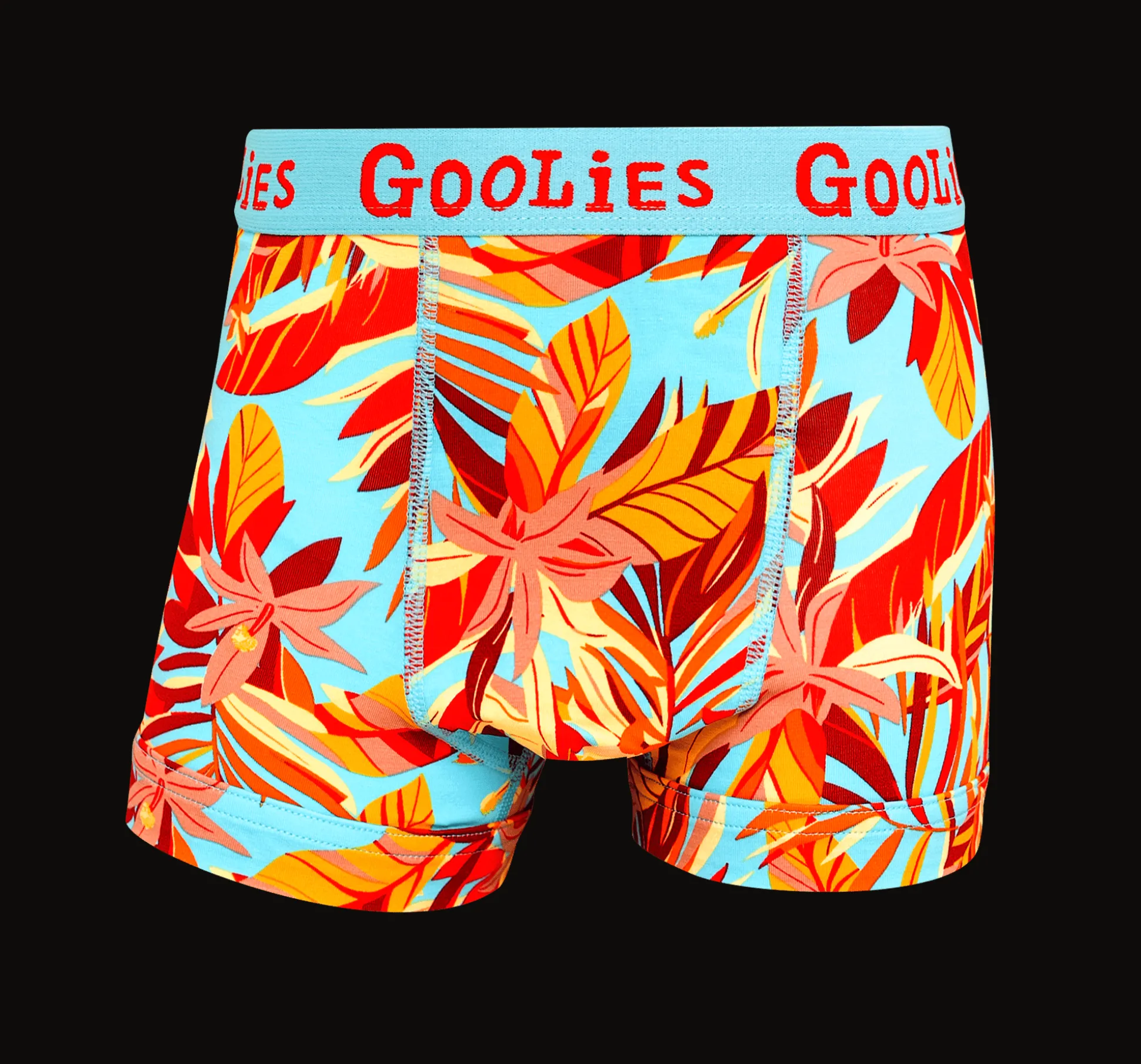 03 Month Pre-Paid: Goolies & Free Socks - Monthly Subscription