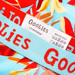 03 Month Pre-Paid: Goolies & Free Socks - Monthly Subscription