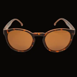 Sunglasses - Tortoise