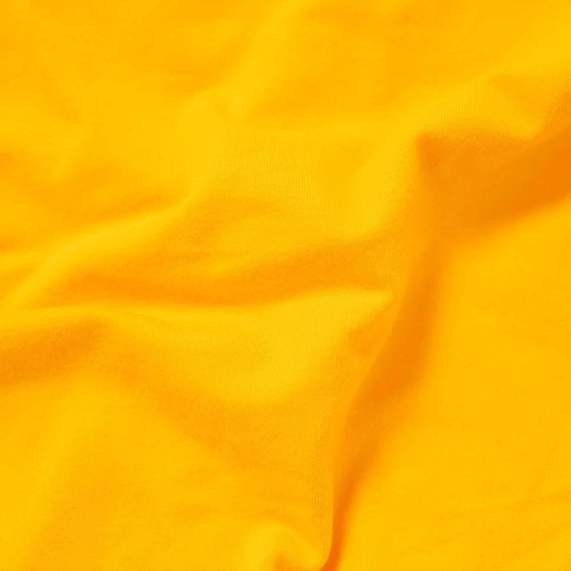 Sweet Potatoes - Ladies Briefs
