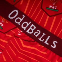 Welsh Rugby Union - Home - Ladies Briefs