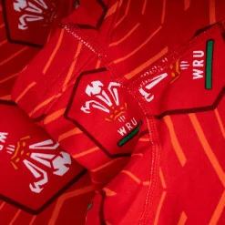Welsh Rugby Union - Home - Ladies Briefs