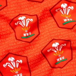 Welsh Rugby Union - Home - Ladies Bralette
