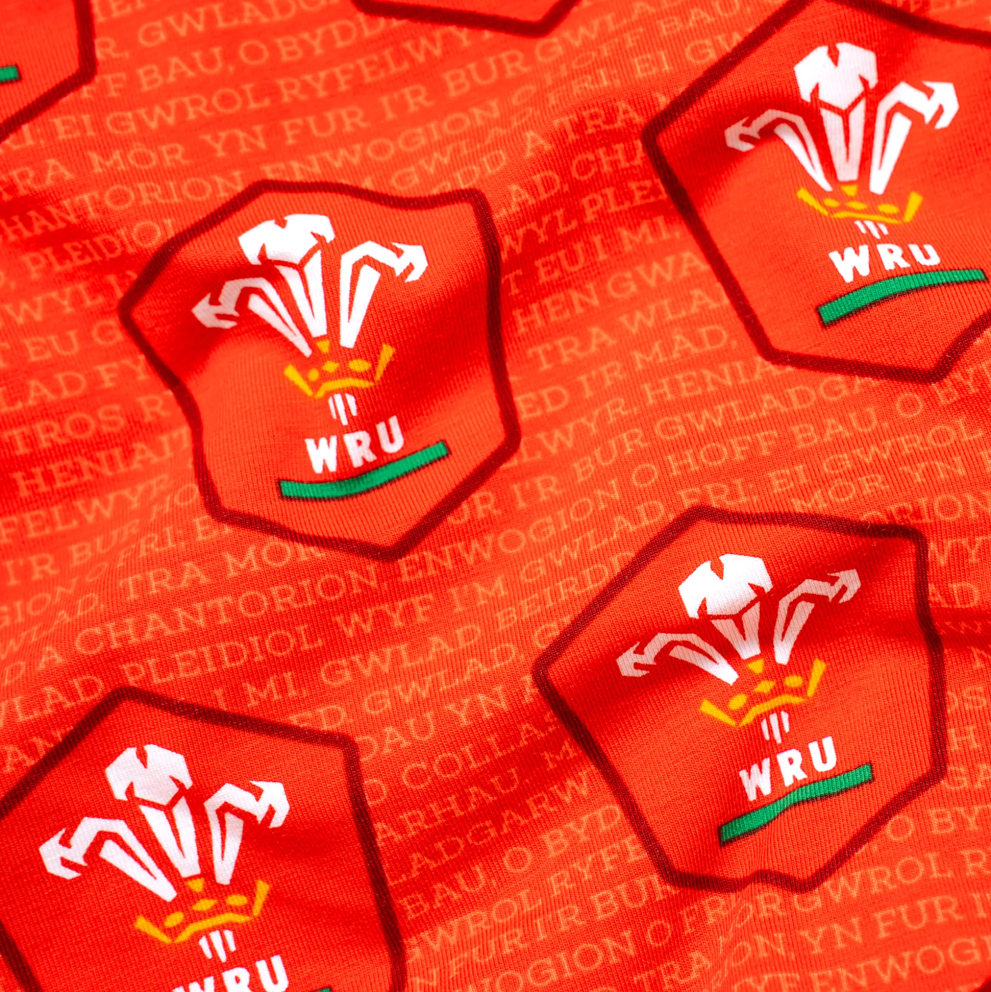 Welsh Rugby Union - Home - Ladies Thong