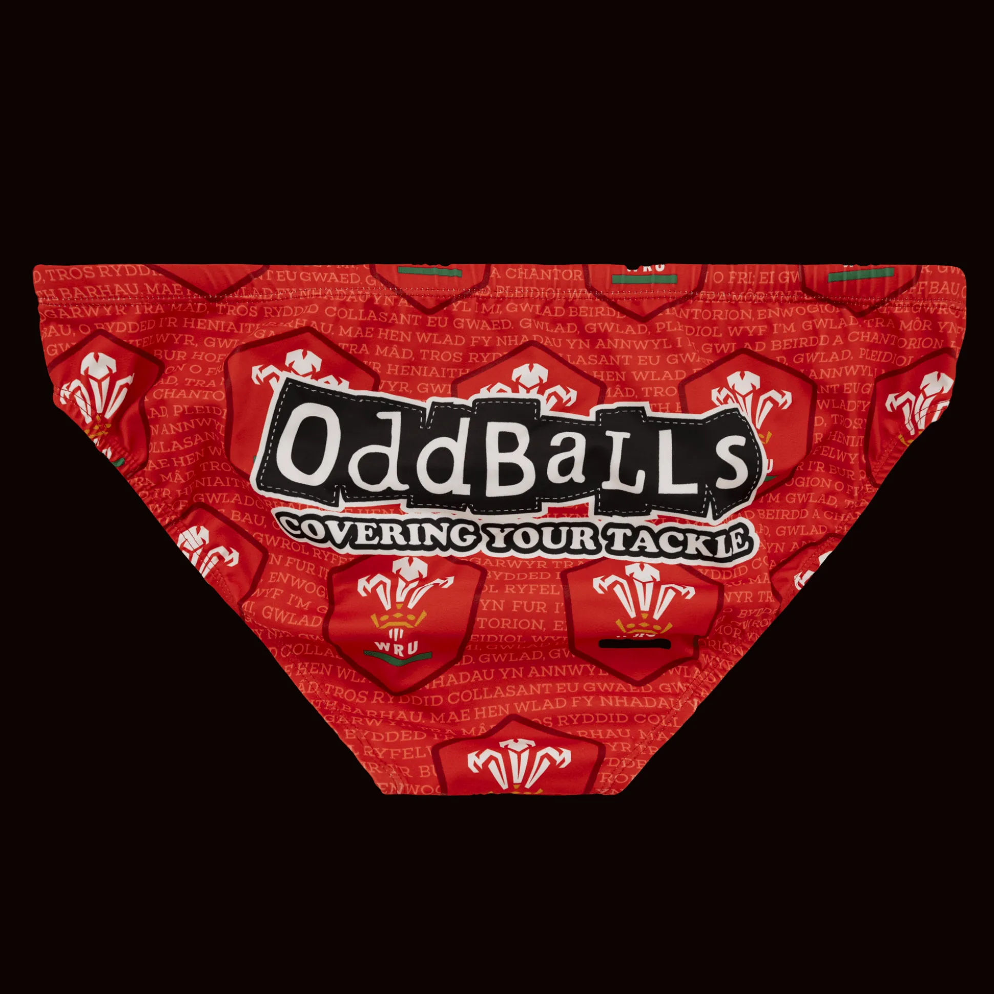 Welsh Rugby Union - Swimming Briefs