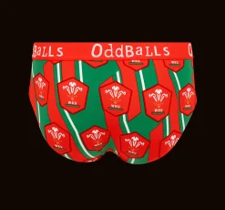 Welsh Rugby Union Alternate - Mens Briefs