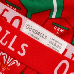 Welsh Rugby Union Alternate - Ladies Thong