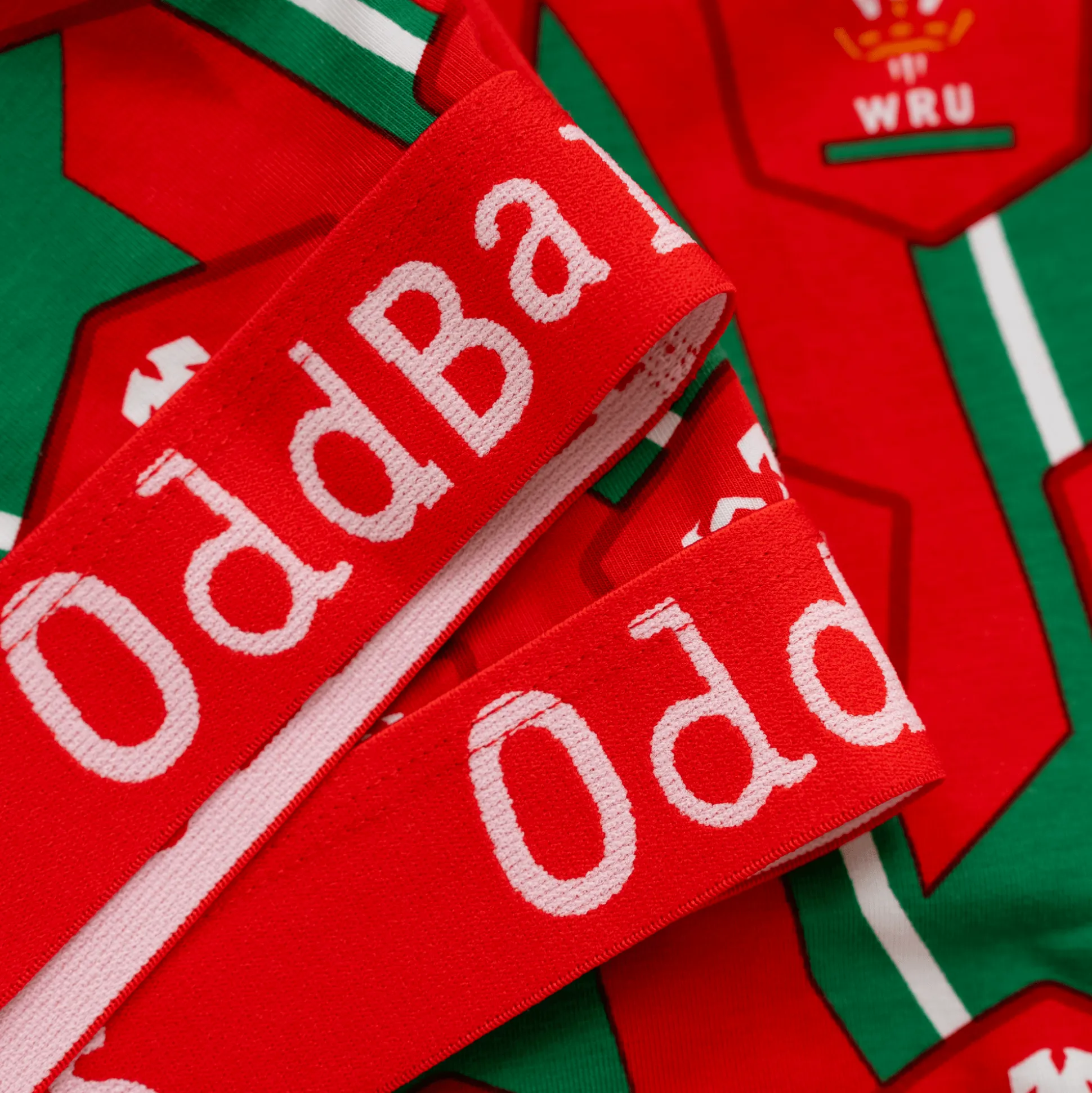 Welsh Rugby Union Alternate - Ladies Bralette