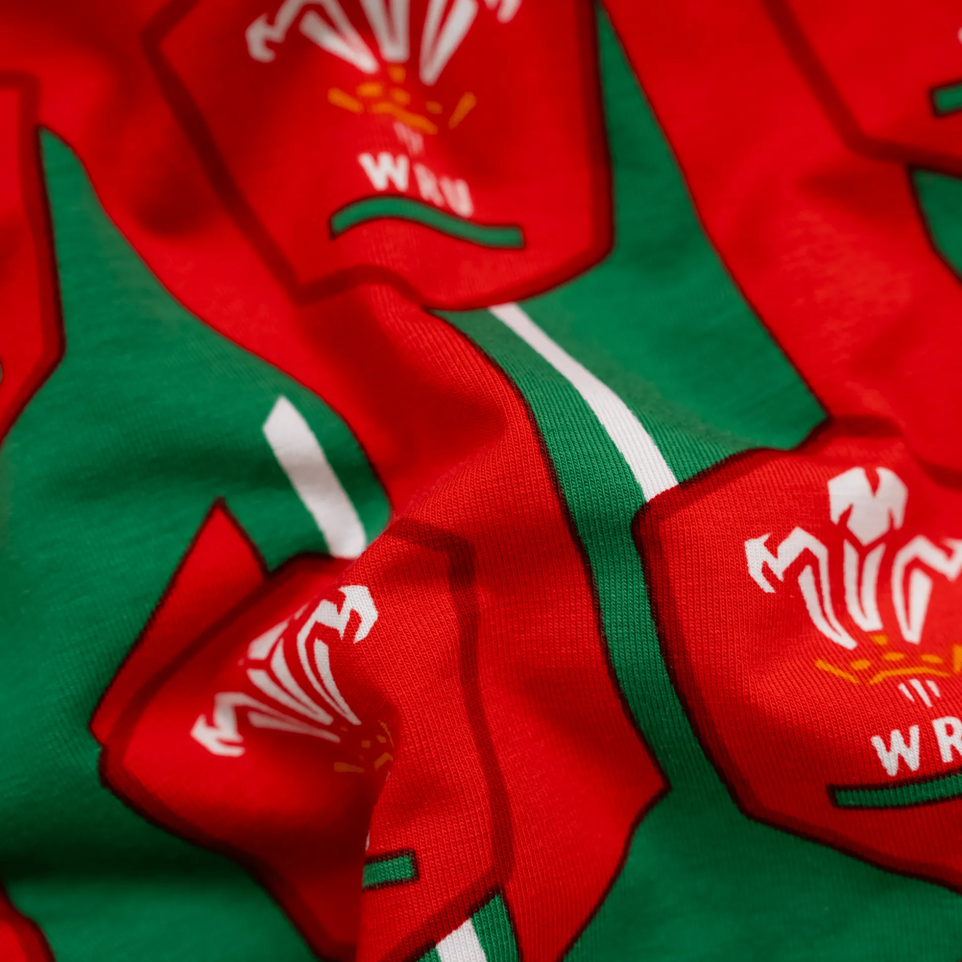 Welsh Rugby Union Alternate - Kids Boxer Shorts - Goolies