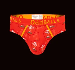 Welsh Rugby Union Flames - Mens Briefs