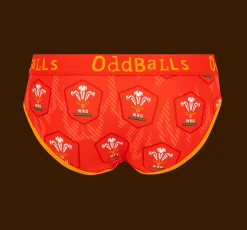 Welsh Rugby Union Flames - Ladies Briefs