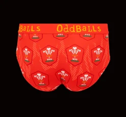 Welsh Rugby Union Flames - Mens Briefs