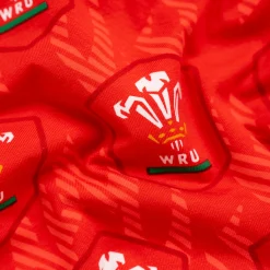 Welsh Rugby Union Flames - Ladies Boxers