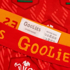 WRU Home - Red - Kids Boxer Shorts - Goolies