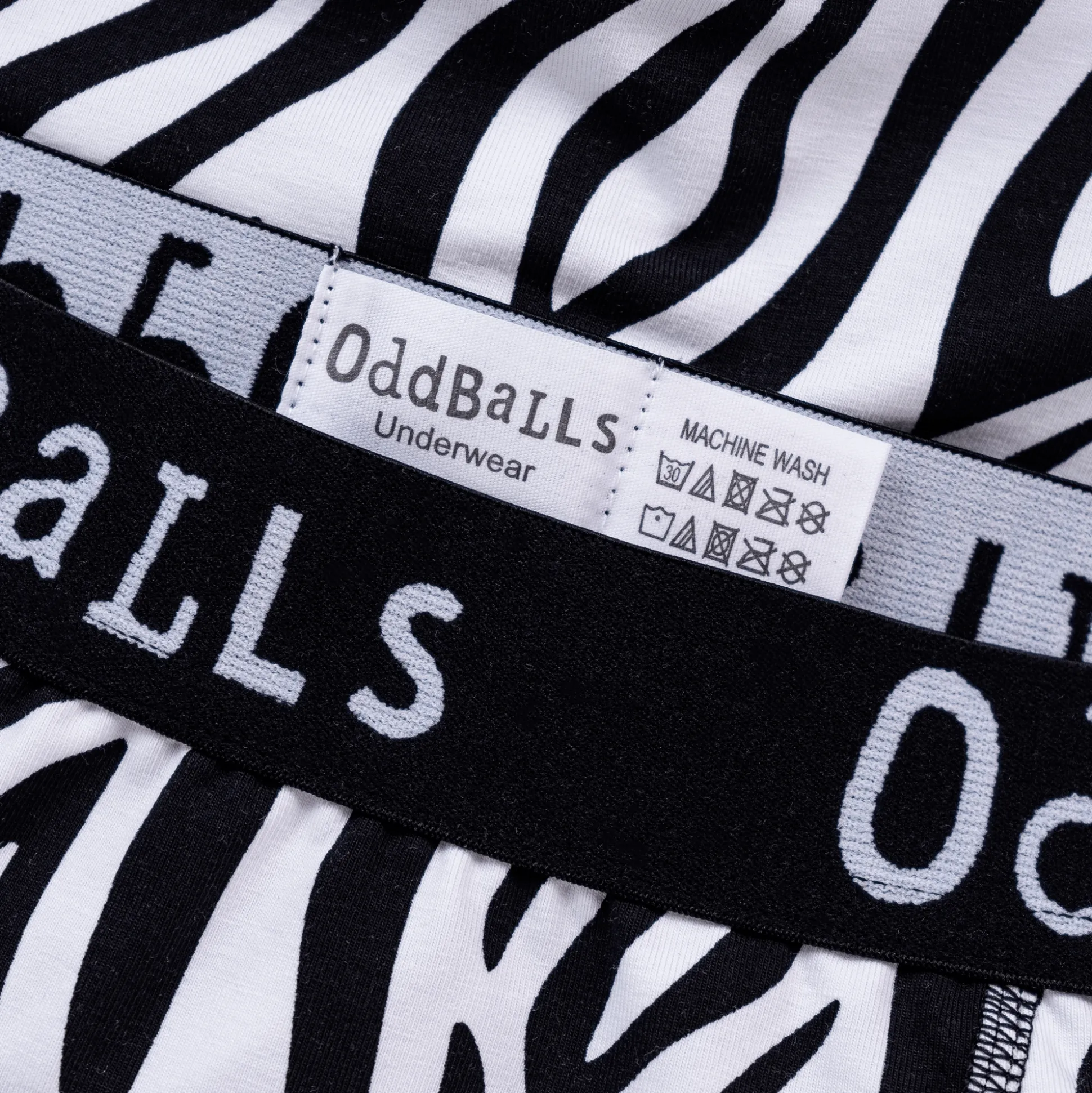Zebra Crossing - Ladies Briefs